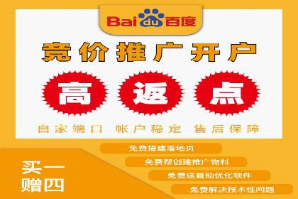 百度竞价策略：如何快速实现盈利的案例