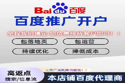 SEM托管服务，成功案例深度分析
